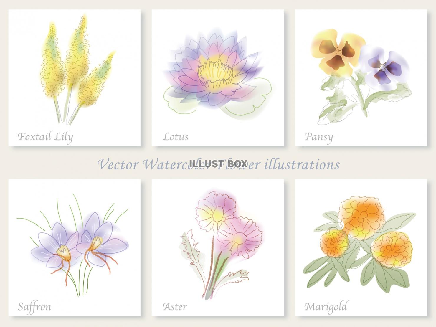 水彩風　６種類の花イラストセット