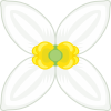 花　フラワー　オリーブ