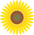 花　フラワー　ヒマワリ　イエロー