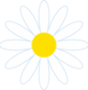 花　フラワー　デイジー　白