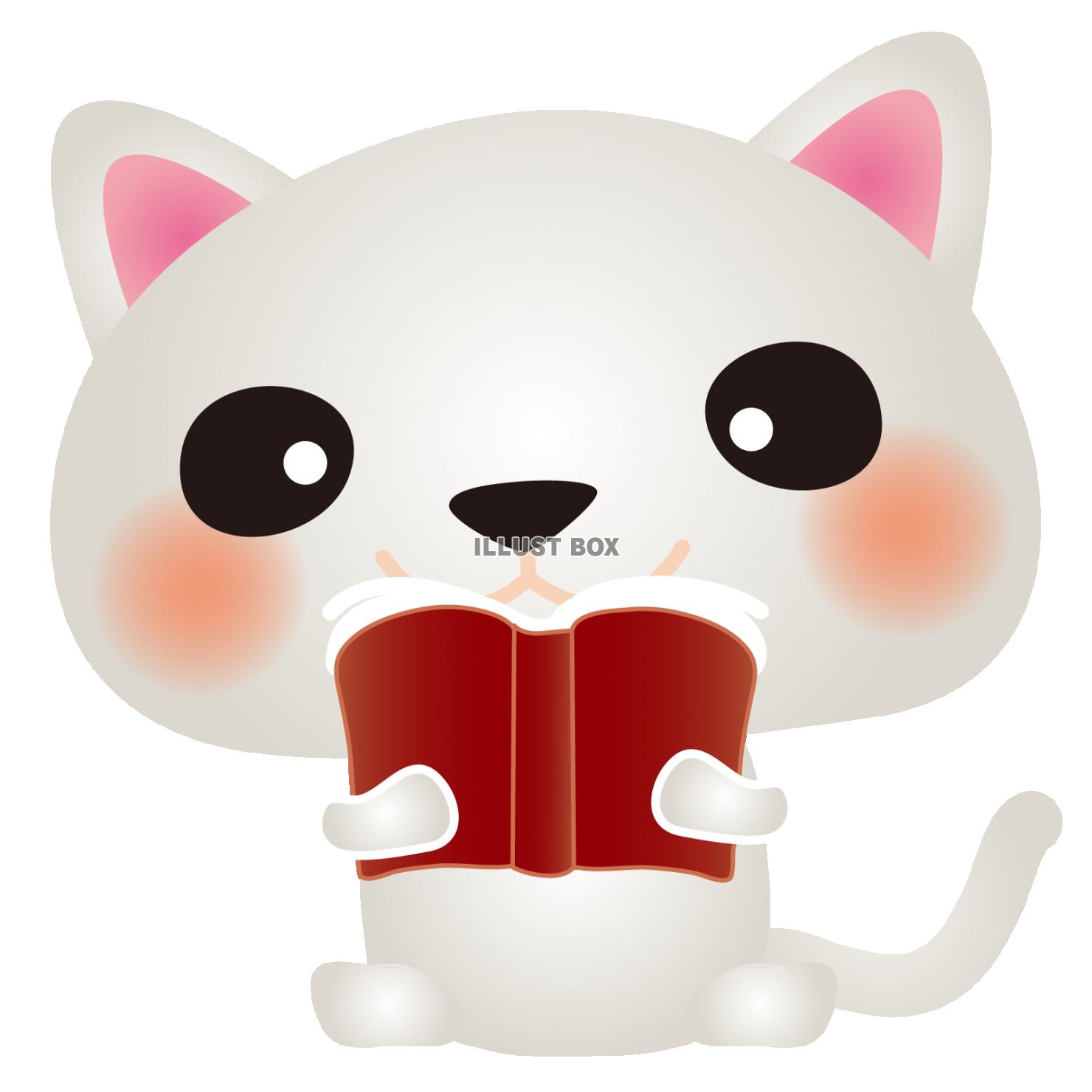 白ねこ読書