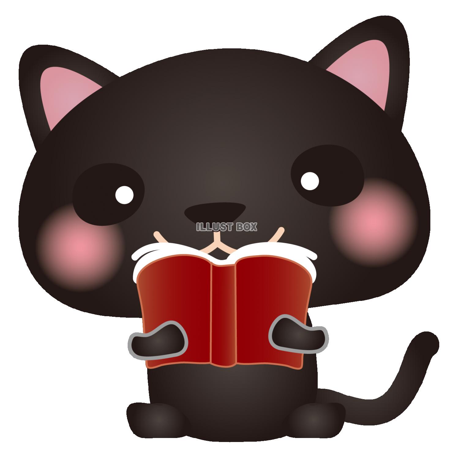 黒ねこ読書