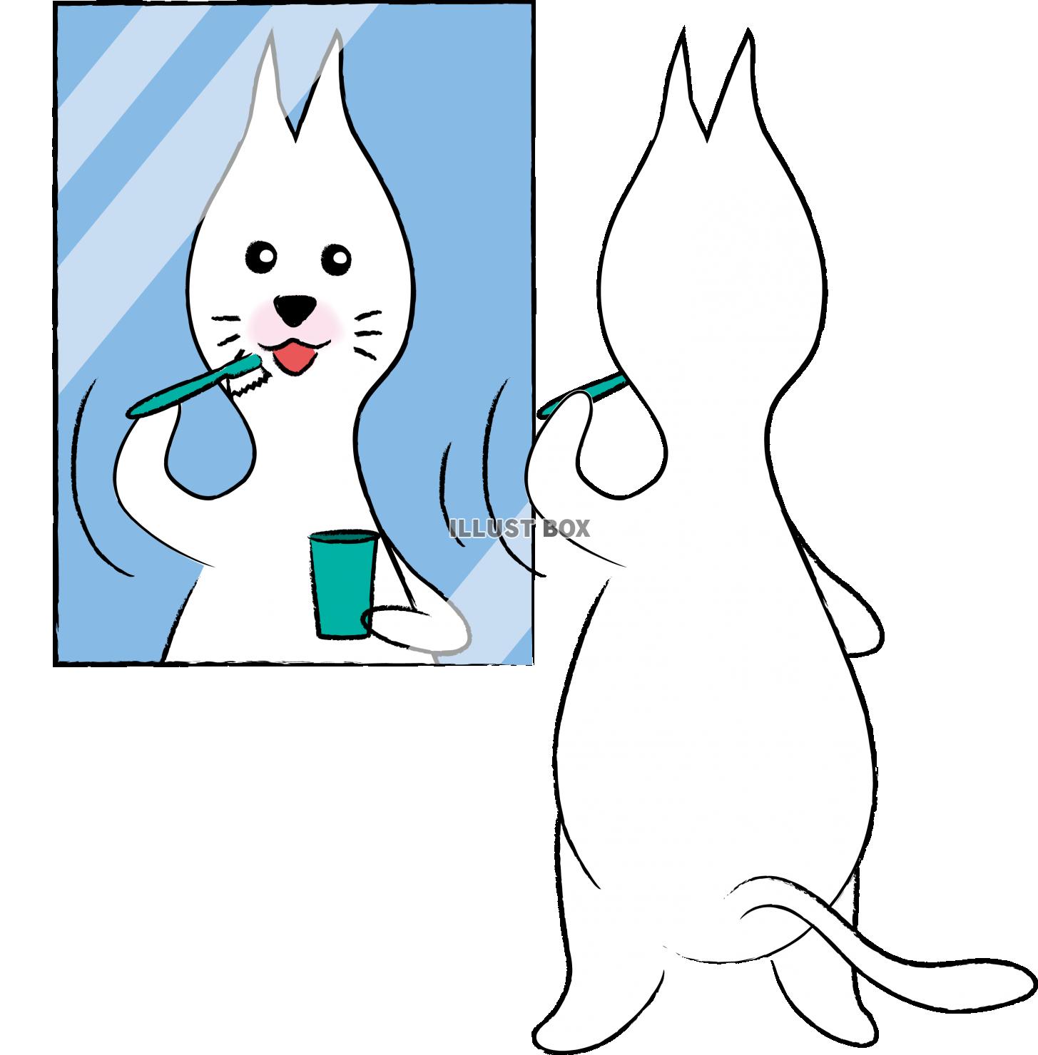 可愛いしろねこ　キャラクター　歯磨き