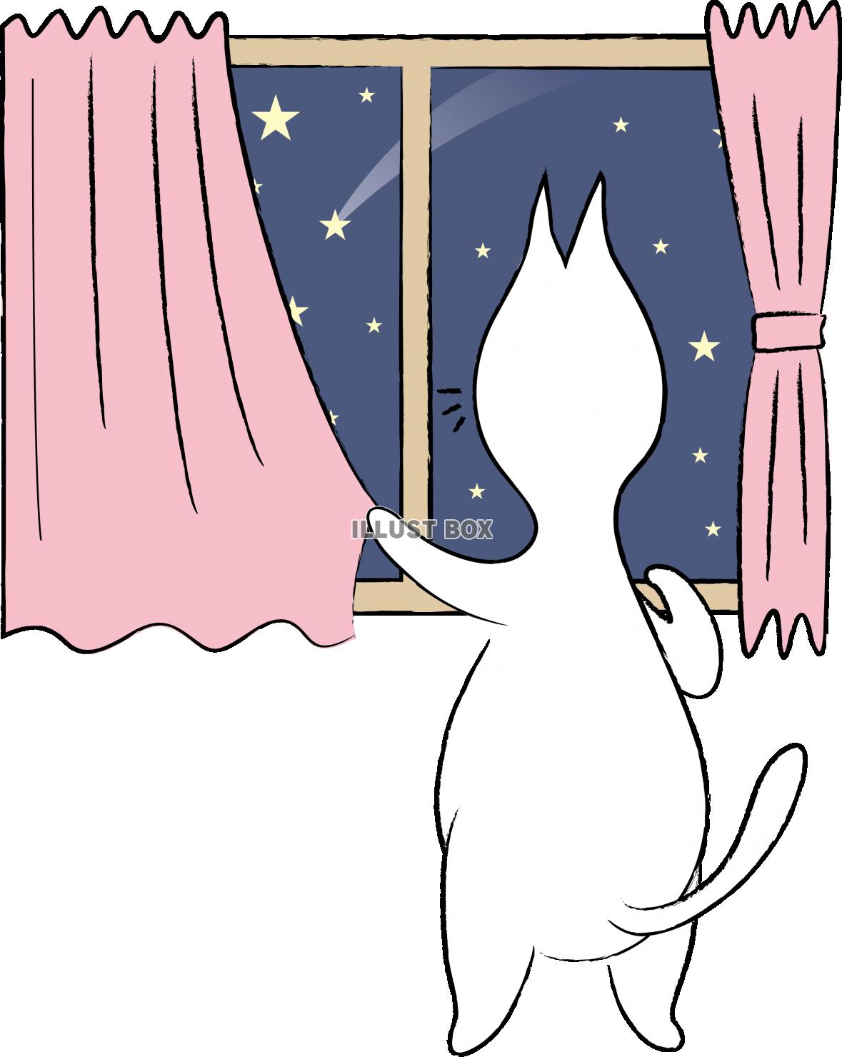 可愛いしろねこ　キャラクター　夜