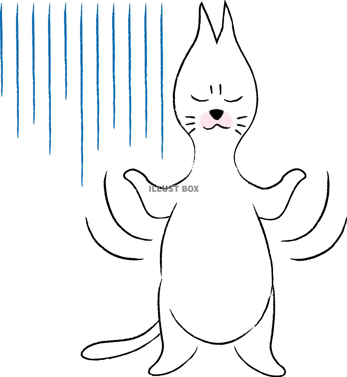 無料イラスト 可愛いしろねこ キャラクター イライラ