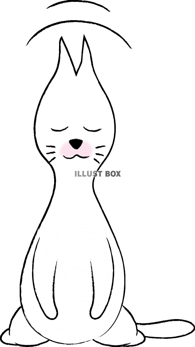 可愛いしろねこ　キャラクター　詫び