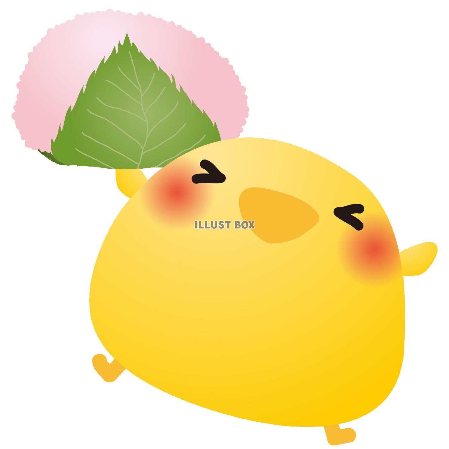 ひよこ桜もち