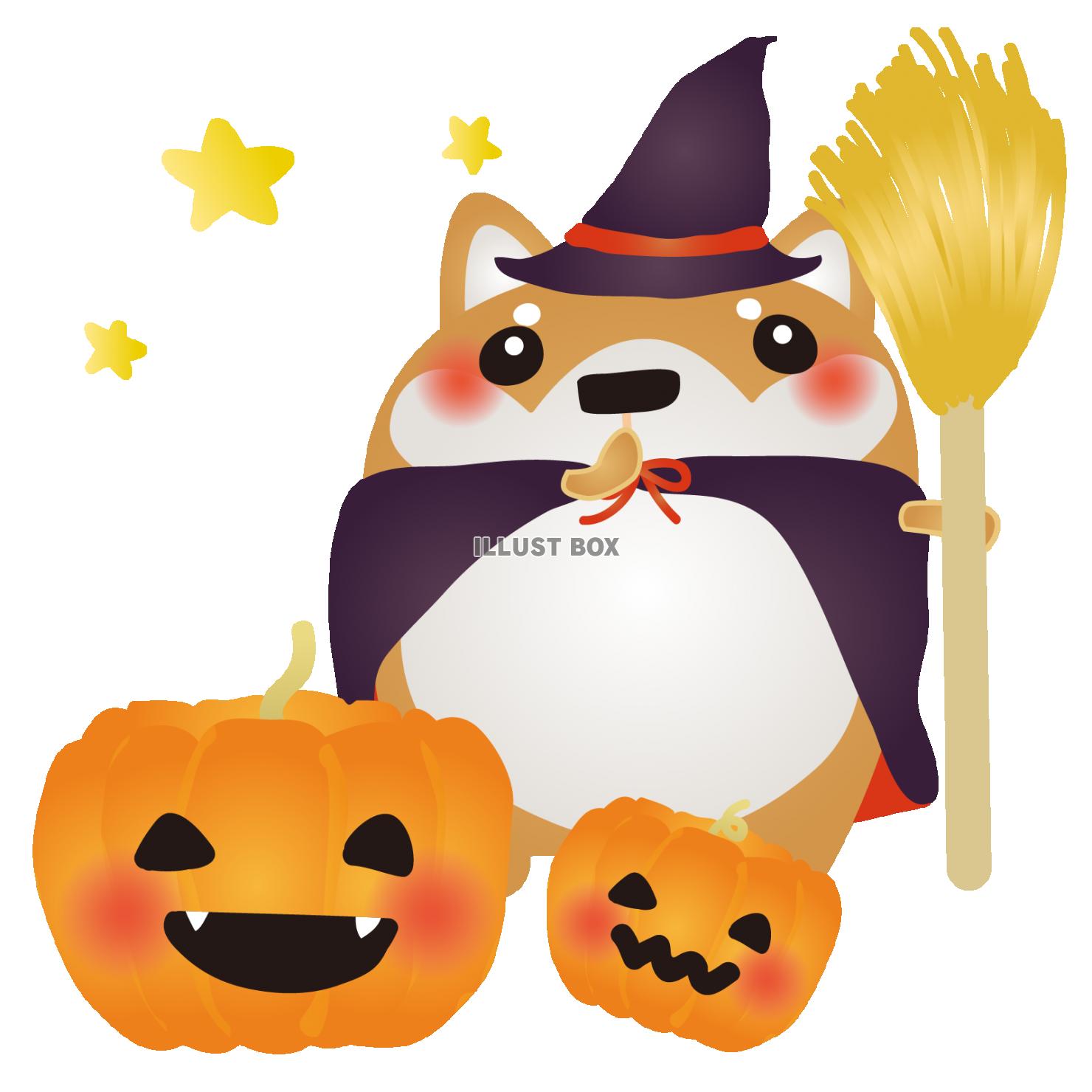 無料イラスト 柴犬ハロウィン1