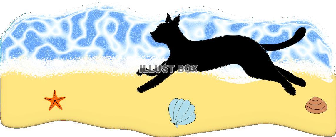 ネコさんとビーチ【PNG】