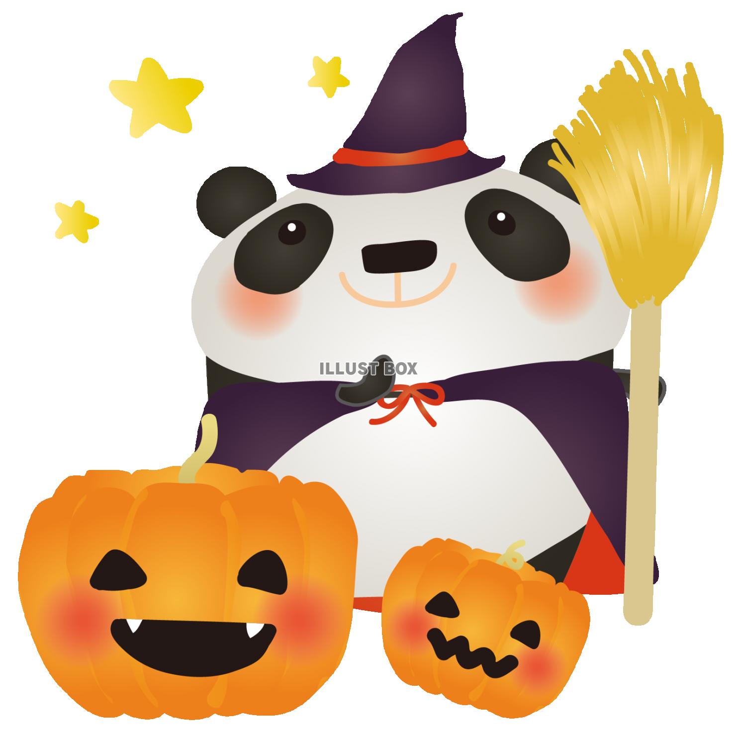 パンダハロウィン1