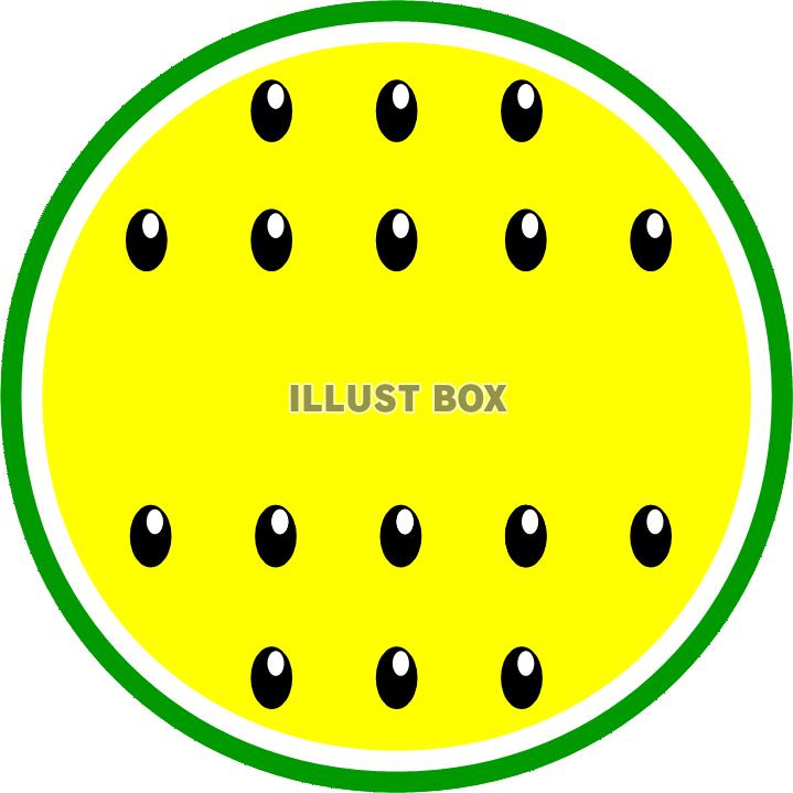 黄色スイカ　断面図　