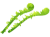 こごみ（くさそてつ）草蘇鉄