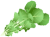 なばな(png・CSeps・zip）