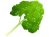 パセリ(png・CSeps・zip）