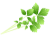 みつば(png・CSeps・zip）