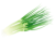 わけぎ(png・CSeps・zip）	