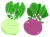コールラビ(png・CSeps・zip）