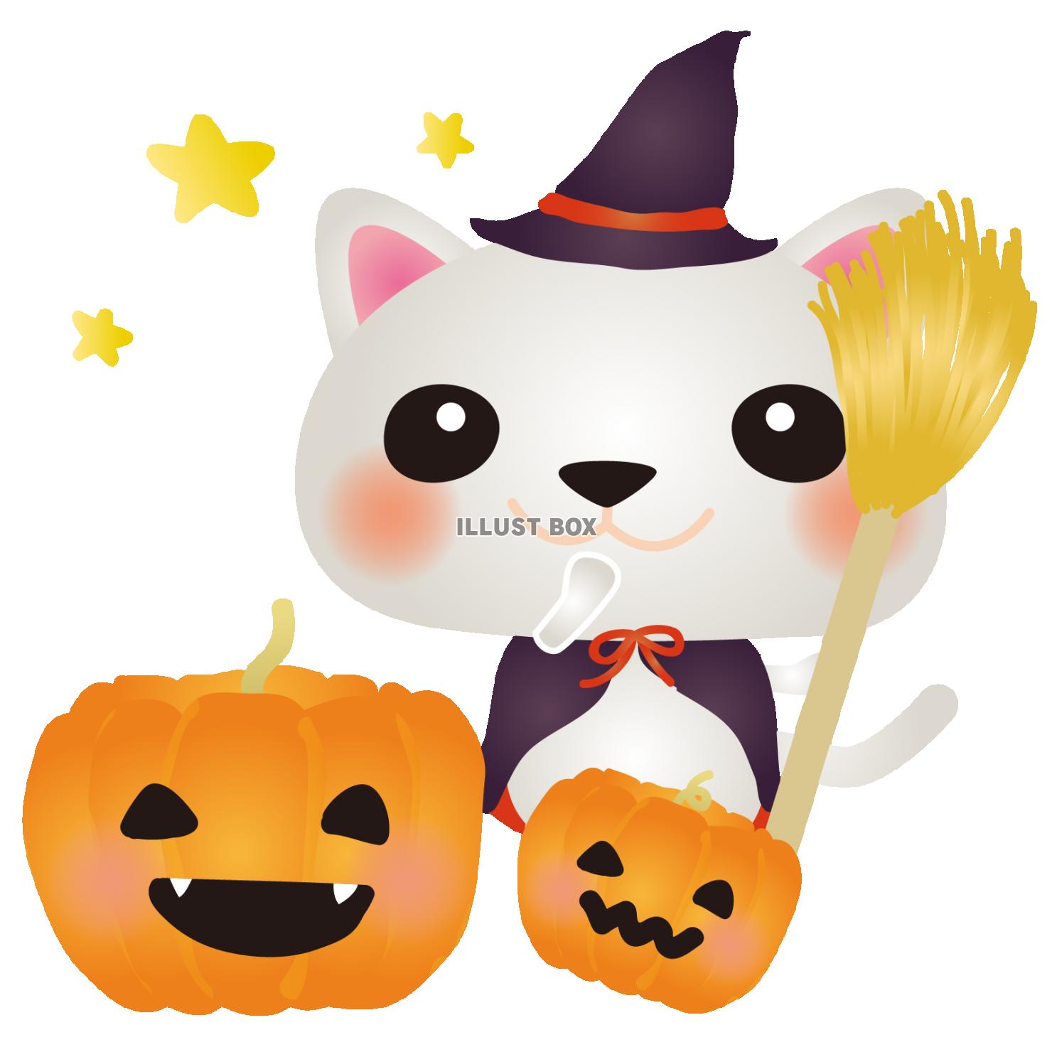 白ねこハロウィン2