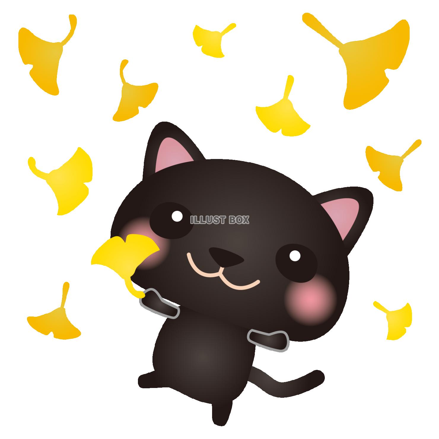 黒ねこいちょう