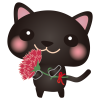 黒ねこカーネーション