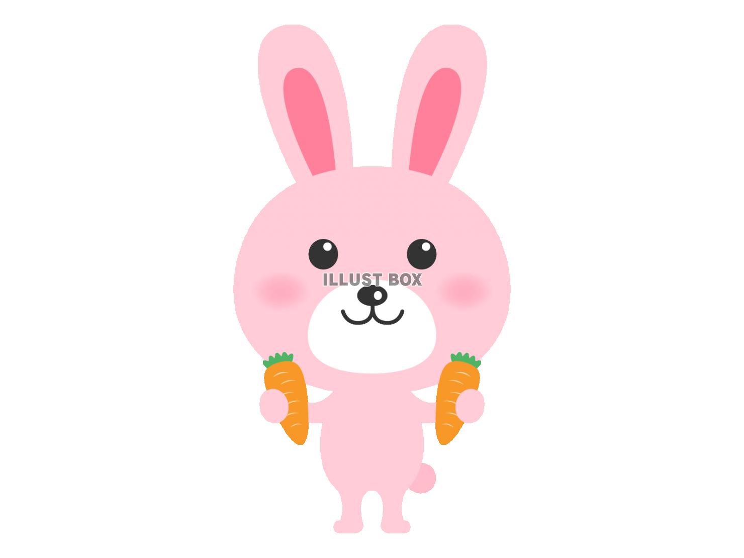 うさぎ