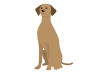  犬のイラスト