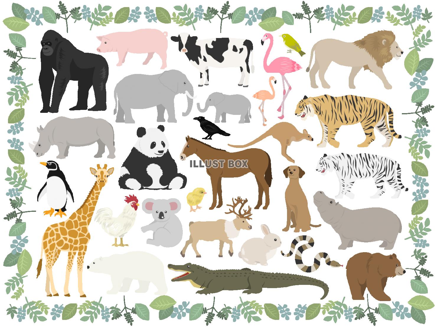 動物園 イラスト無料