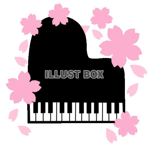 ピアノと桜