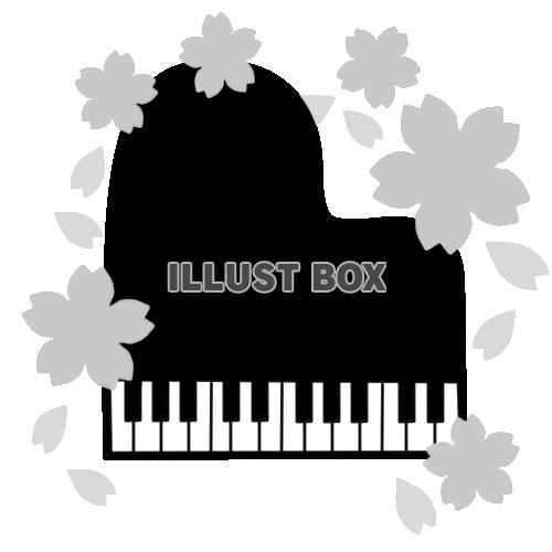 ピアノと桜　モノクロ