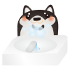 黒柴手洗い