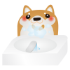 柴犬手洗い
