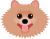 犬　犬種　ポメラニアン