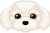 犬　犬種　マルチーズ