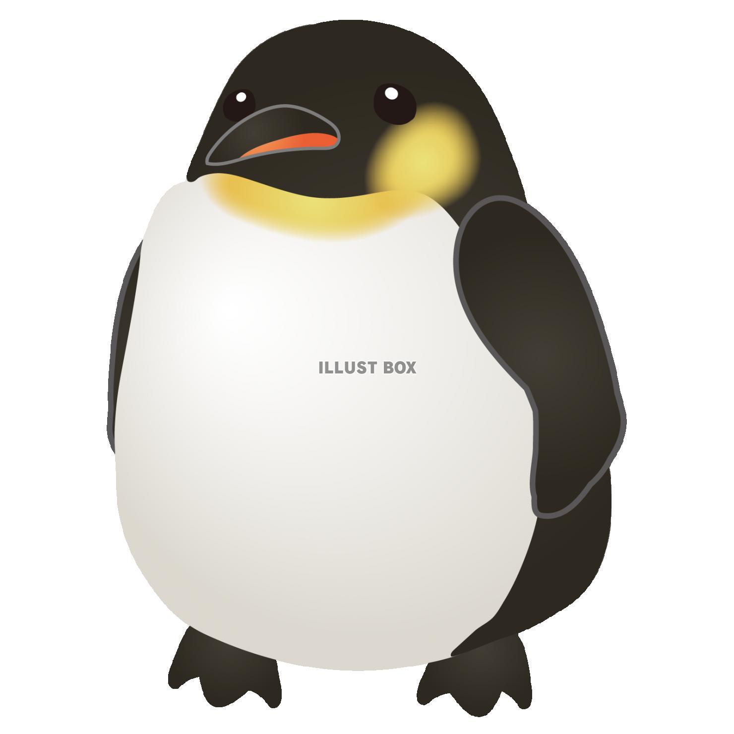 柔らかな質感の 皇帝ペンギンのイラスト その他 Www Indiashopps Com