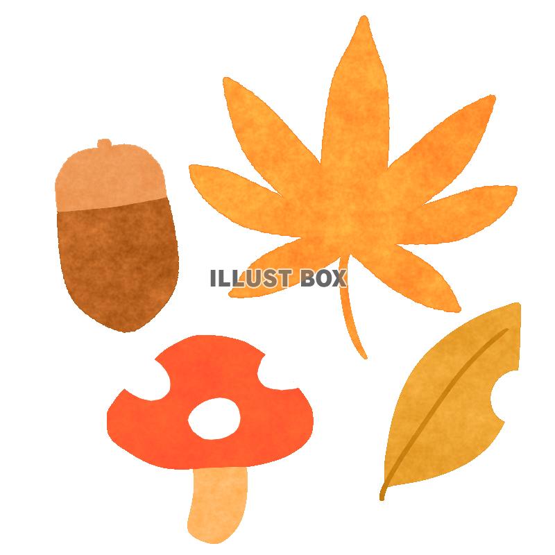 紅葉やどんぐり　透過png