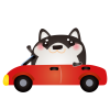 黒柴ドライブ