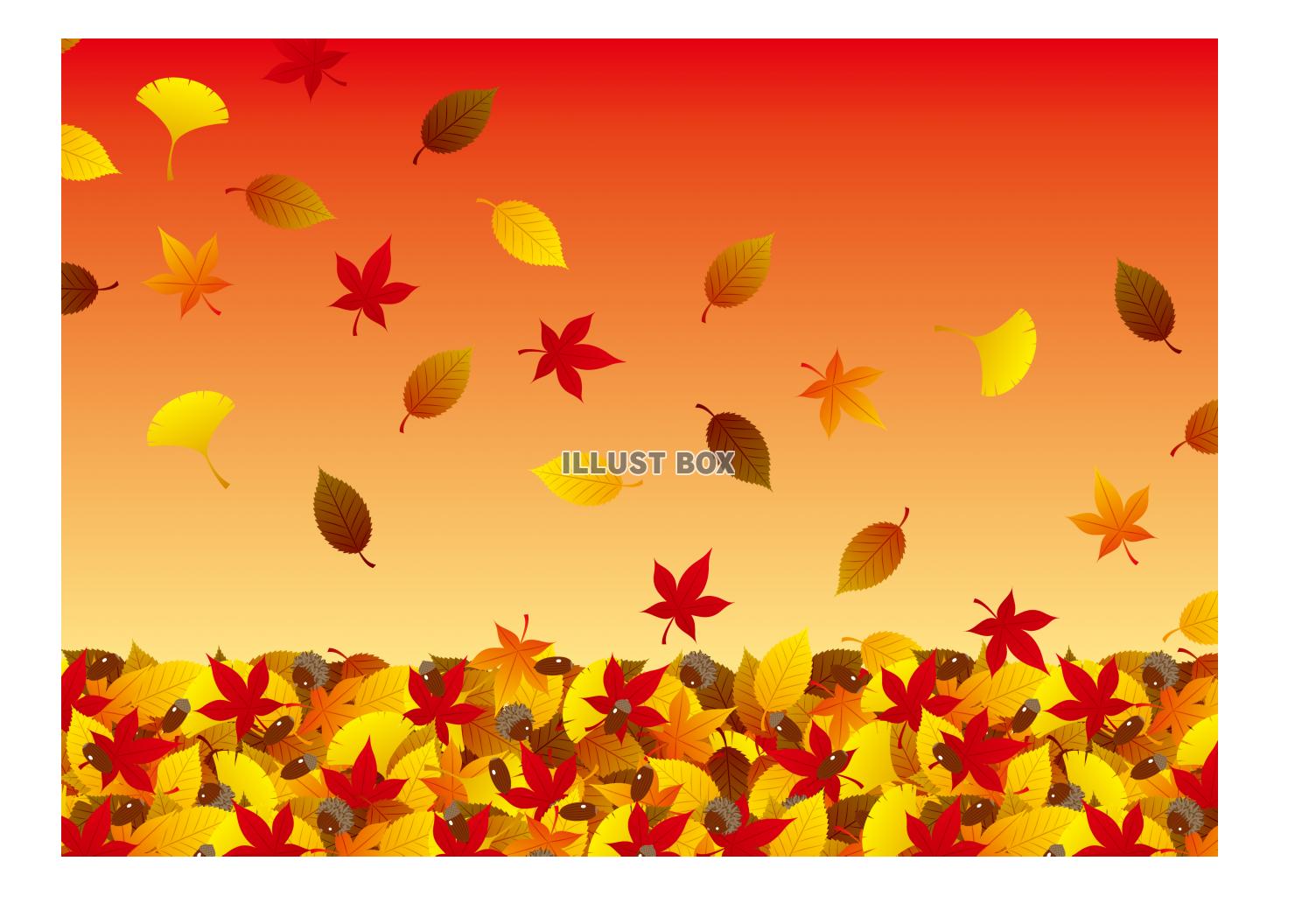 無料イラスト 秋のイメージ 落ち葉 夕暮れ 壁紙
