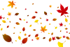 秋のイメージ　落ち葉　壁紙