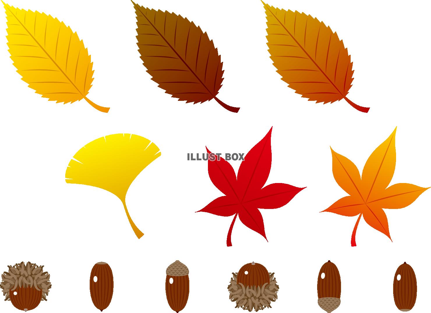 無料イラスト 秋のイメージ 紅葉 ドングリ セット