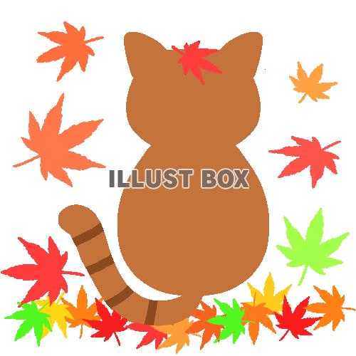 紅葉の落ち葉と猫　透過png