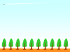 木（針葉樹）の並木道と飛行機雲のフレーム