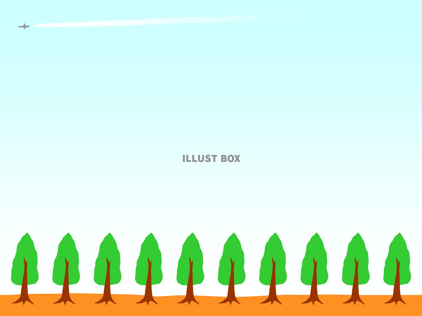 木（針葉樹）の並木道と飛行機雲のフレーム