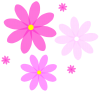 ピンクのお花