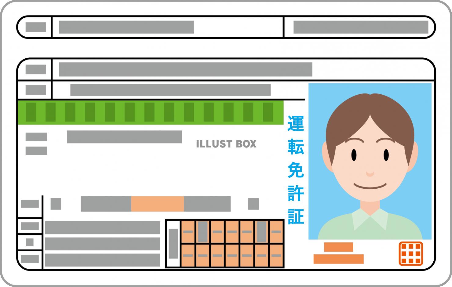 運転免許証　男性　グリーン