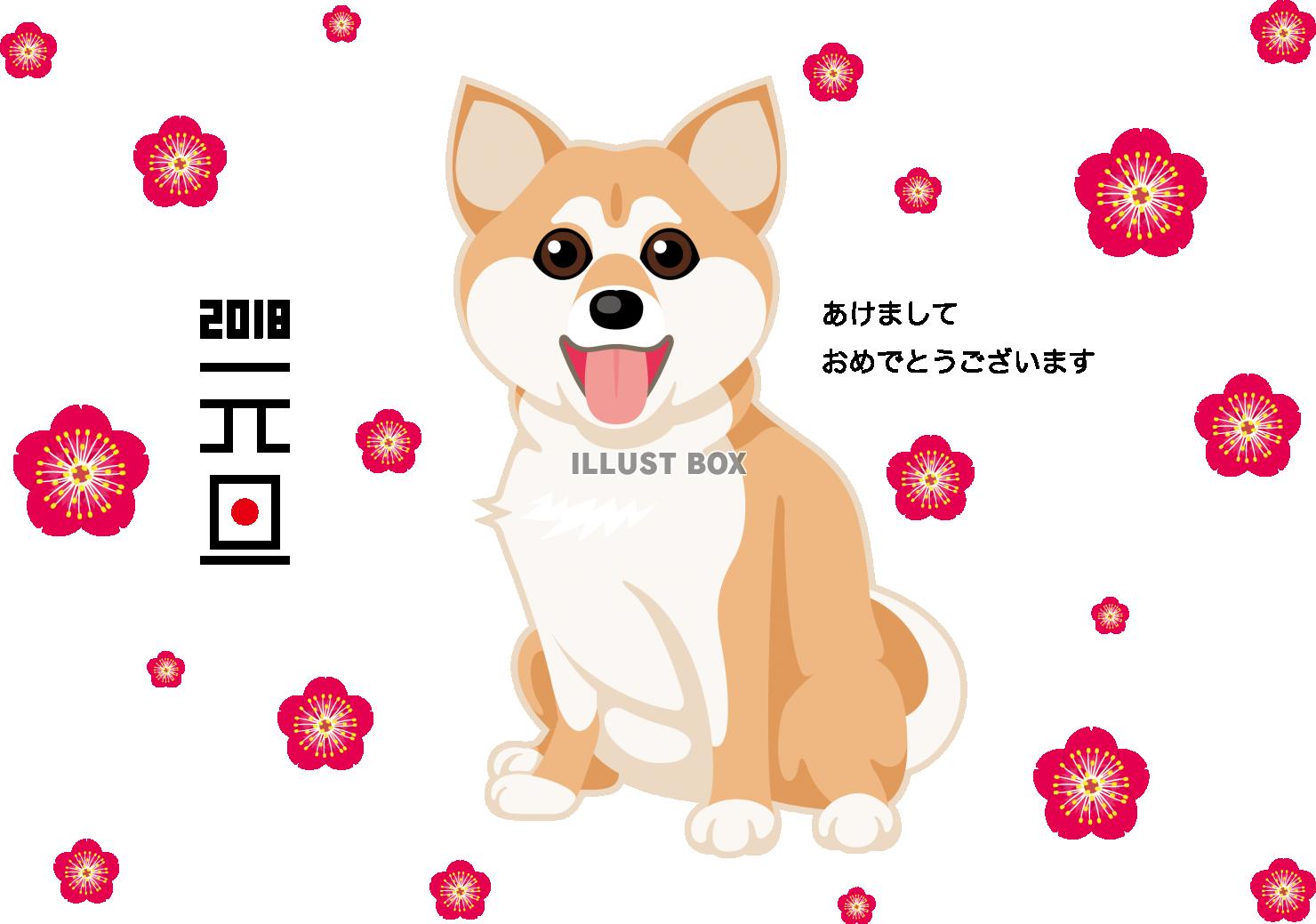 年賀状　柴犬　梅