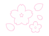 サクラ