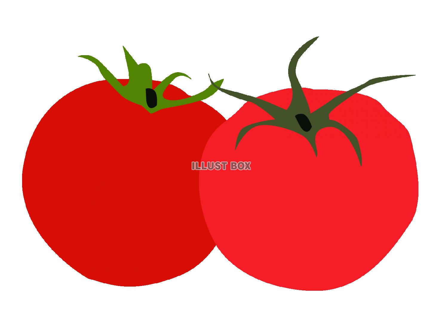 tomato