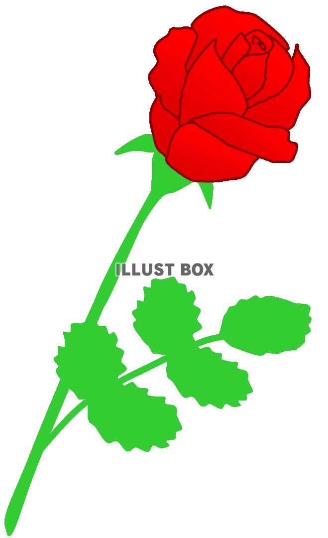 無料イラスト 真っ赤なバラ １本
