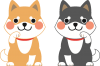 2匹の犬のイラスト（招き猫風）