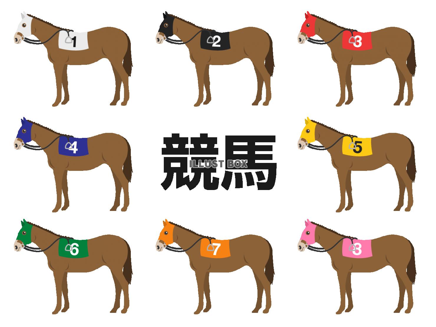 競馬